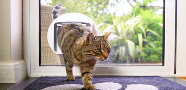 Microchip Cat Flap